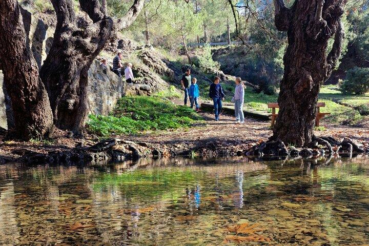 Paphos - Troodos Mountains: To the highest peaks.
