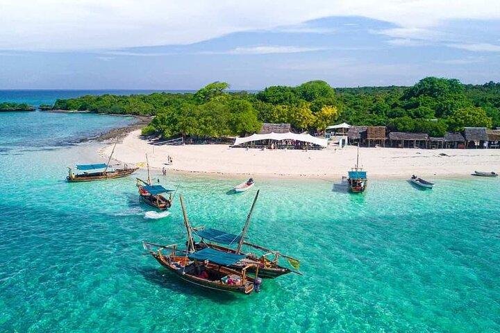 Dolphin and Snorkeling Activity to Mnemba from Nungwi