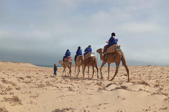 Dakhla Camel Ride Experience