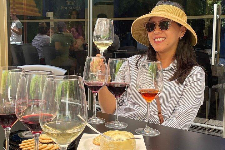 Arrabida , Setubal, Sesimbra and wine tasting private guide