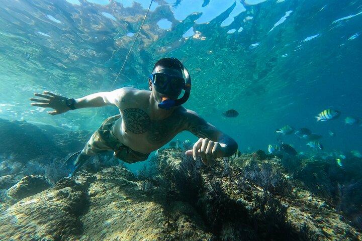 Snorkeling On Chilean Beach Transportation And Drinks Included