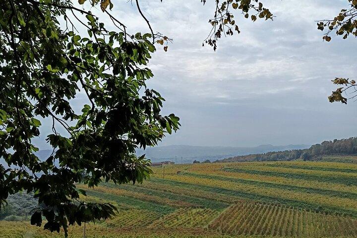 Private tour gorges of the alcantara plus typical village visit