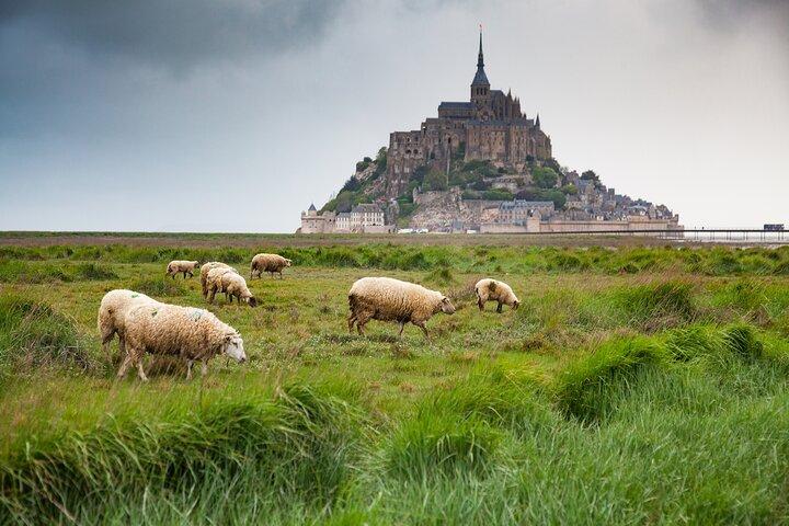Private and Enchanted Escape to Mont-Saint-Michel from Le Havre