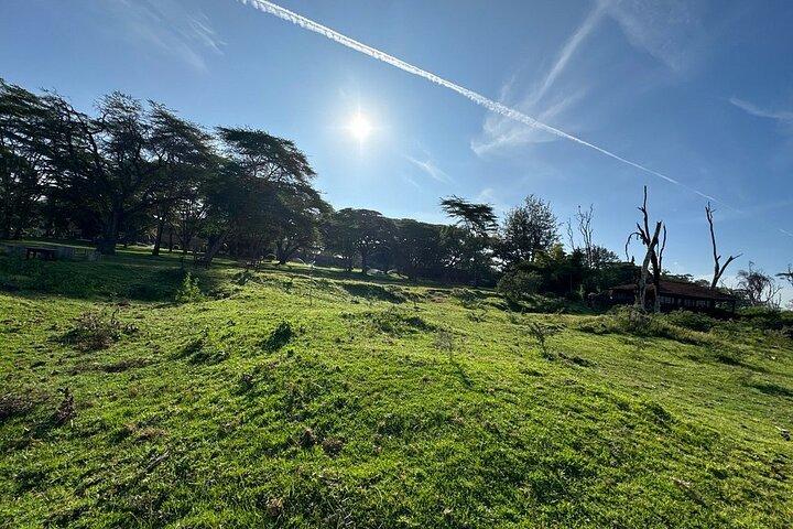 4day Maasai Mara, Lake Nakuru, and Lake Naivasha