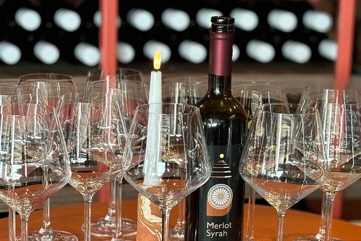 Panorama & Wine Tour - Eco City Tour Šibenik