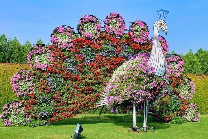 Dubai Miracle Garden + Dubai Butterfly Garden Tickets
