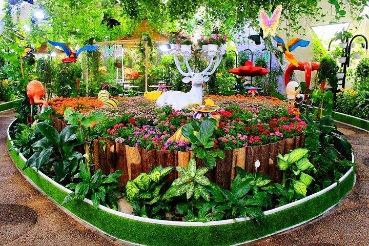 Dubai Miracle Garden + Dubai Butterfly Garden Tickets
