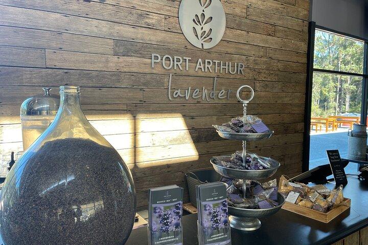 Port Arthur, Lavender, Richmond & Tasman Peninsula