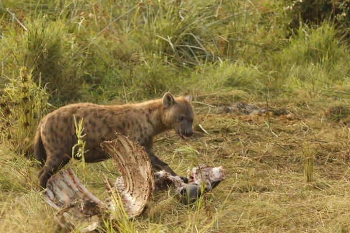 3 Day Murchison Falls Safari with Accommodation