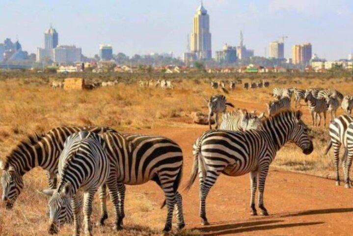 Day tour to Nairobi National Park and Giraffe Centre