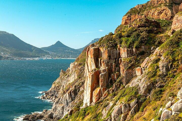 Cape Town: Cape Peninsula, Ostrich Farm & Penguins Tour