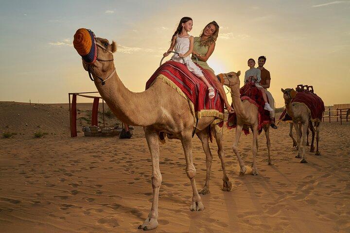 Dubai Evening Desert Safari BBQ Dinner & Transfer to Noble Camp