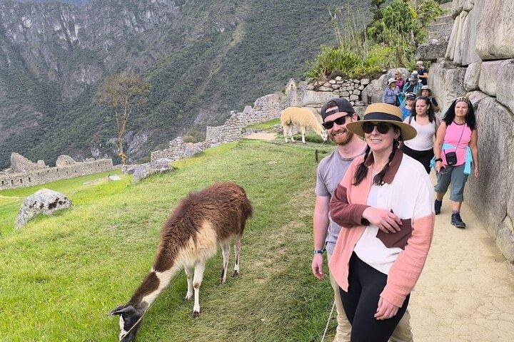 Day trip to Machu Picchu from Cusco