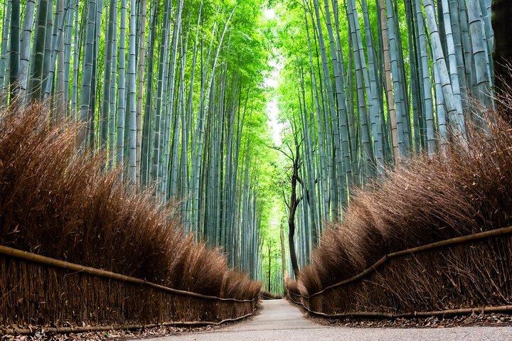 Kyoto Private Full Day Tour by Car