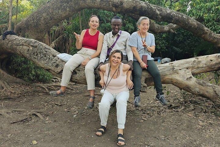 Daytrip Materuni Waterfalls Coffee tour and Kikuletwa Hot Springs
