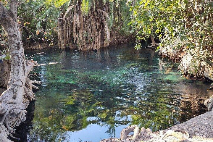 Daytrip Materuni Waterfalls Coffee tour and Kikuletwa Hot Springs