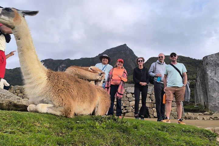 Day trip to Machu Picchu from Cusco