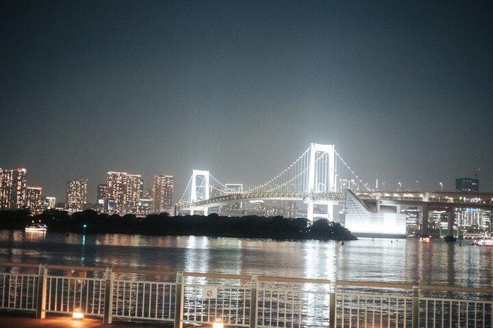 Private Tokyo Night Driver-Guided Tour