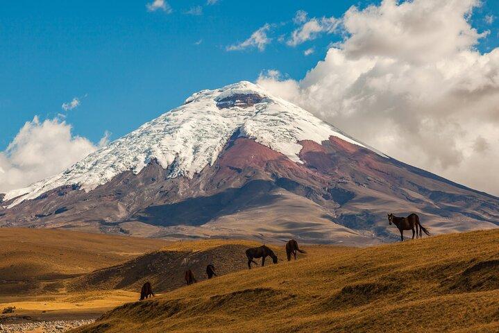Cotopaxi Volcano Full-Day Tour from Quito