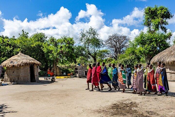 7 Days Tanzania Wildlife Safari & Cultural Tour