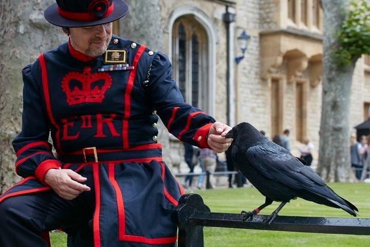 Westminster Private Walking Tour & Visit The Tower of London