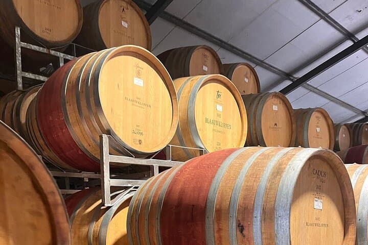 From Cape Town: Franschhoek & Stellenbosch wine tasting tour