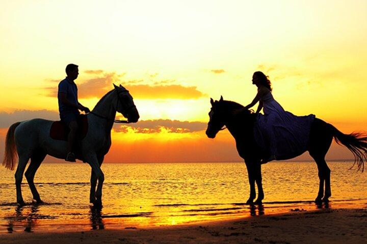 Agadir & Taghazout Sunset Beach Horse Ride with Hotel Transfers
