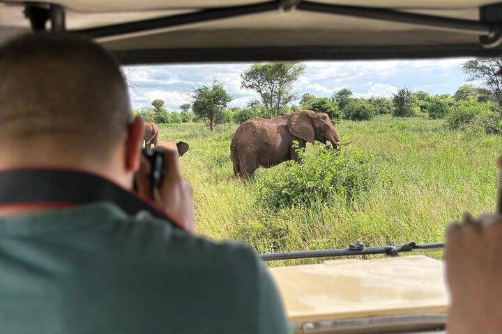 2 Days Ngorongoro Crater and Tarangire Park Adventure Safari