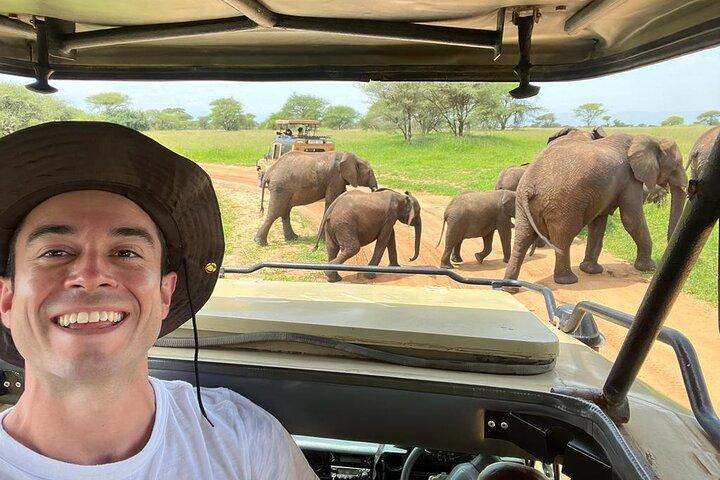 4 Days Serengeti NP, Ngorongoro Crater & Tarangire NP Safari
