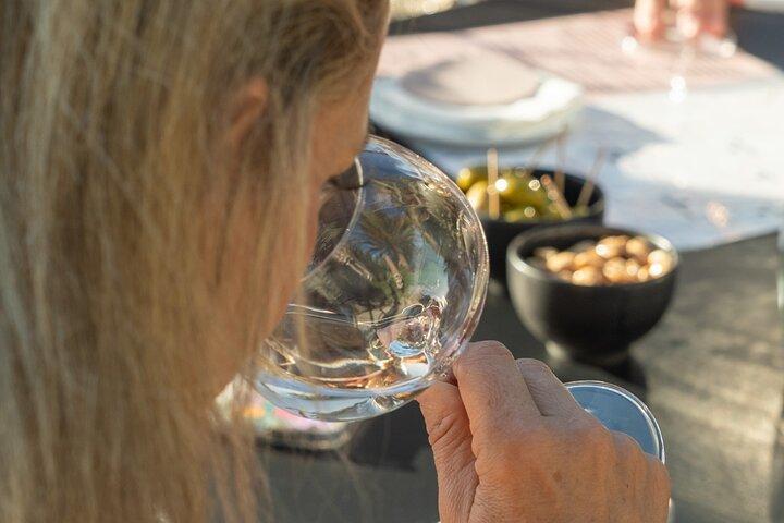 Shared Tour - Wine tour from Saint Tropez