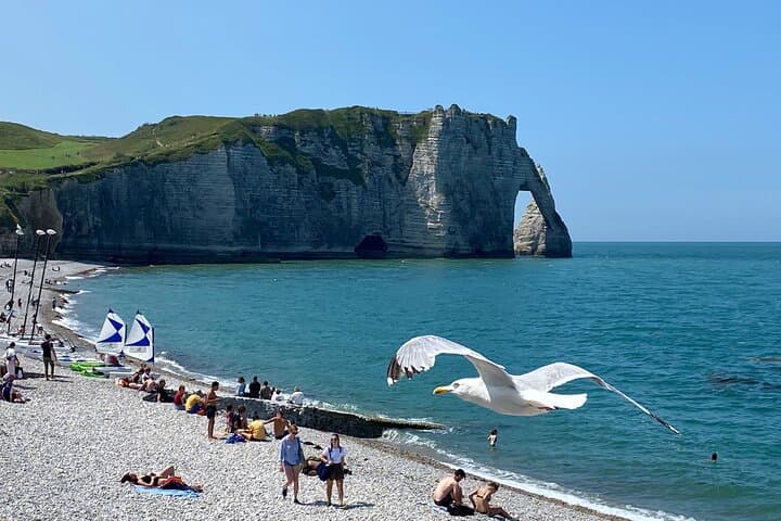 Private Live Guided Giverny Honfleur Etretat Cliffs by Mercedes