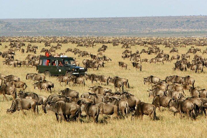 3 Days and 2 Night Maasai Mara Group Safari Tour