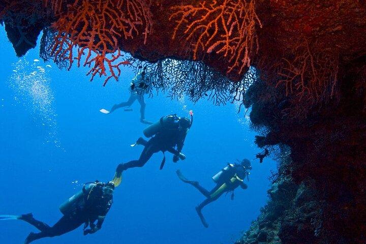 Sharm El-Sheikh: Ras Mohamed & White Island Snorkeling Trip