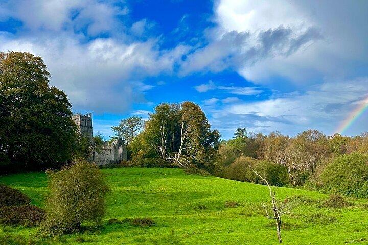 Jaunting Car Tour in Killarney National Park