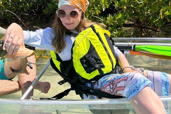 Clear Kayak Eco Tour Explore Mangroves and Meet the Turtles