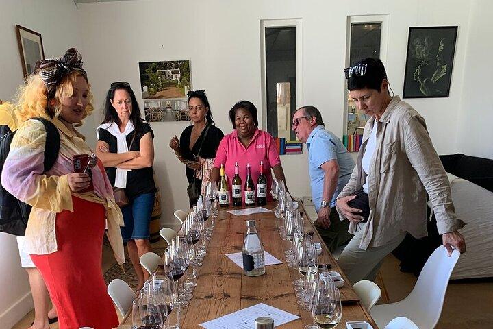 Table Mountain & Constantia wine tasting tour in Cape Town