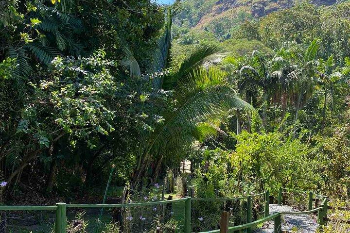 Nadi Fiji Historical Half Day Tour