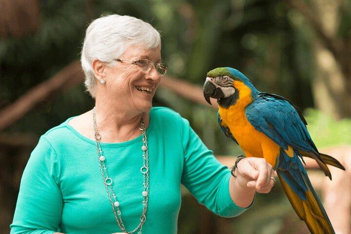 Iguaçu Bird and Waterfall Park