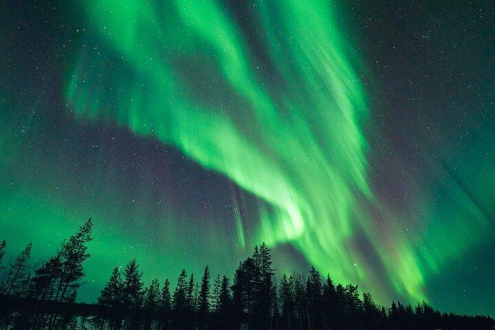 Rovaniemi: Small group northern lights hunt-money back guarantee