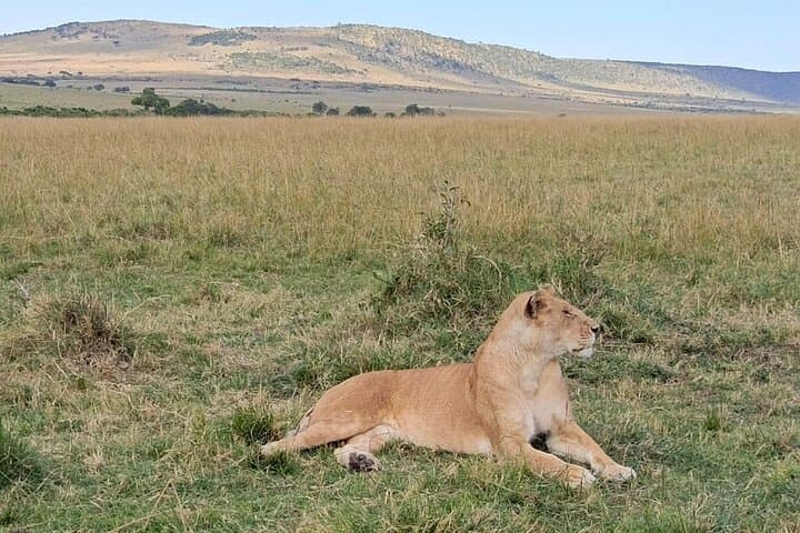 3 Days Samburu National Reserve Tour