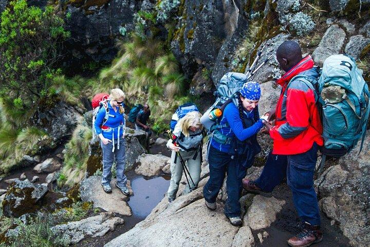 Kilimanjaro Trekking to Shira Plateau Full Day Trip