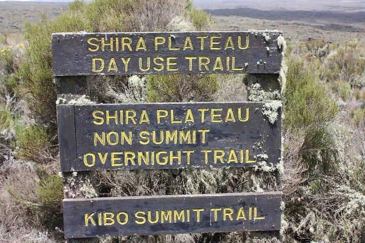 Kilimanjaro Trekking to Shira Plateau Full Day Trip