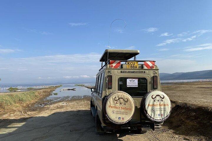 7 Days Group Safari to Mara, Nakuru & Amboseli in Midrange lodges