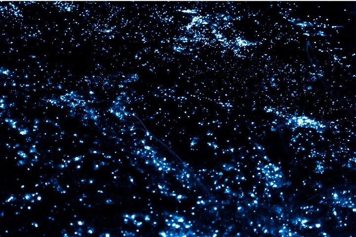 Bioluminescence by kayak or SUP to Los Arcos Puerto Vallarta