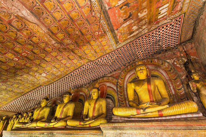 Sigiriya and Dambulla Day Tour from Kalutara All Inclusive