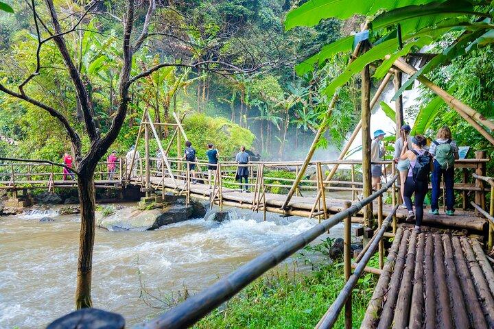 Pha Dok Siew Nature Trail & Doi Inthanon National Park From Chiang Mai