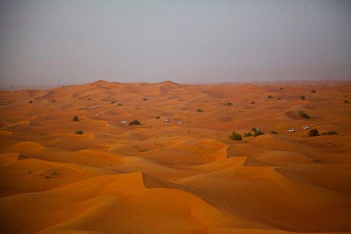 Dubai Desert Safari Camel Ride and ATV Bike with BBQ Dinner