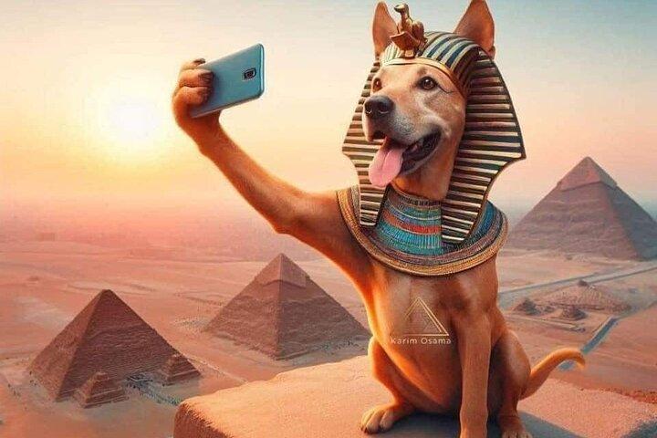 Cairo Day Tour (Pyramids , Sphinx, Egyptian Museum )2026