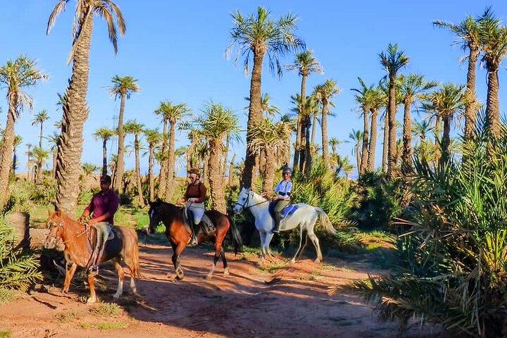 Marrakech Adventure a Horseback Ride through the Palmeraie