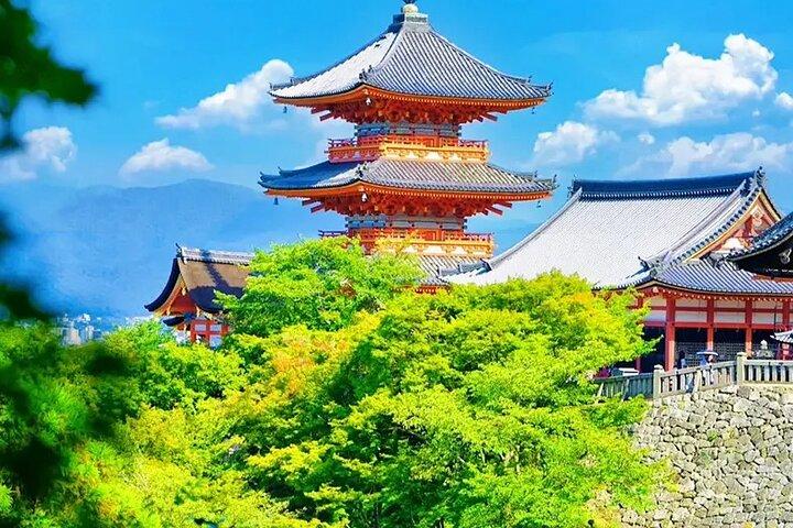 Kyoto Nara Trip Kiyomizu-dera Temple Fushimi Inari & Nara Park